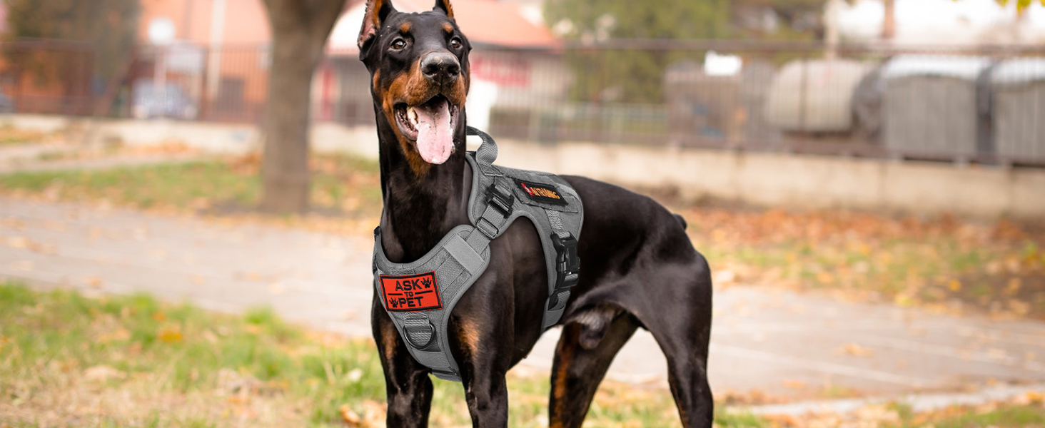 Шлейка для собак Rabbitgoo для великих собак без натягу, тактична, з MOLLE, металеві пряжки, дихаюча, військова, регульована, з підкладкою, L (1 шт., сіра)