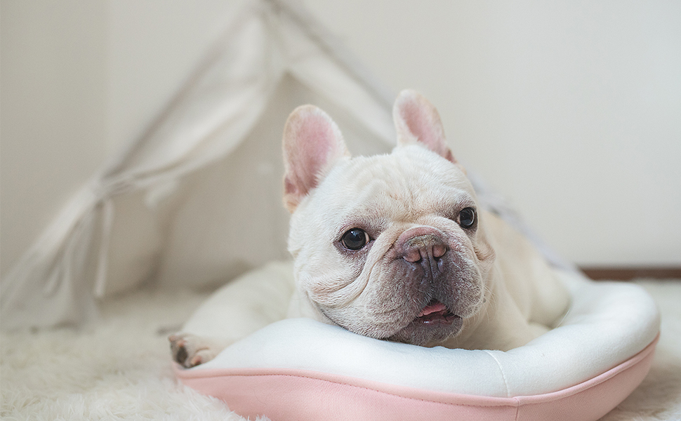 М'яка ковдра для собак та котів LeerKing: двошарова флісова ковдра 100 x 150 см (світло-сірий + зелений)