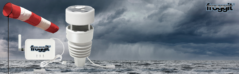 Метеостанція Froggit WH3000 SE PRO WiFi: Професійна метеостанція з WiFi, датчиком температури, вологості, барометром, анемометром, дощуміром та годинником