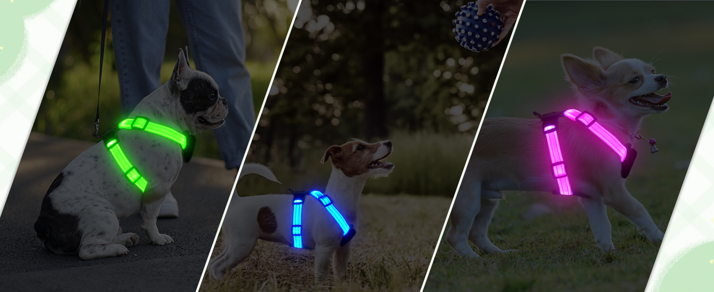 Світловідбиваючий нашийник для собак PZRLit з підзарядкою, для маленьких собак, XS, LED, для безпечних прогулянок вночі - Рожевий