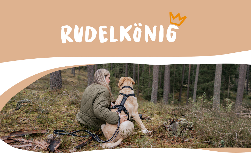 Рулетка для собак Rudelkönig Paola, 2,30 м, регульована, для великих і середніх собак, чорна, світловідбиваюча