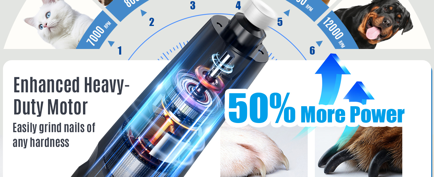 Електричний шліфувальник для собак та котів Casfuy Neue 6-Gang – тиха робота, 2 LED, 7 годин роботи, для собак великих, середніх та малих порід, чорний