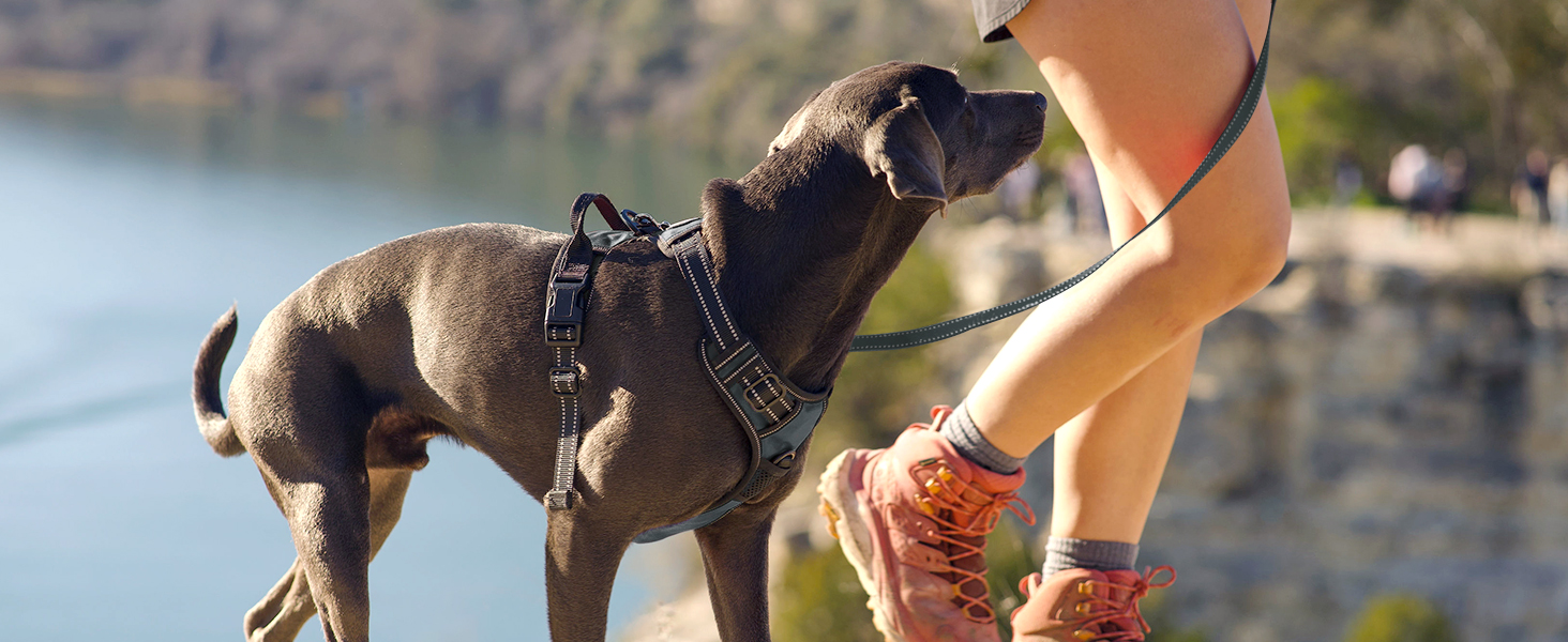 Шлейка для собак Joytale, середнього розміру, світловідбиваюча, дихаюча, з ручкою для контролю та тренувань, сіра, M (1 шт.)