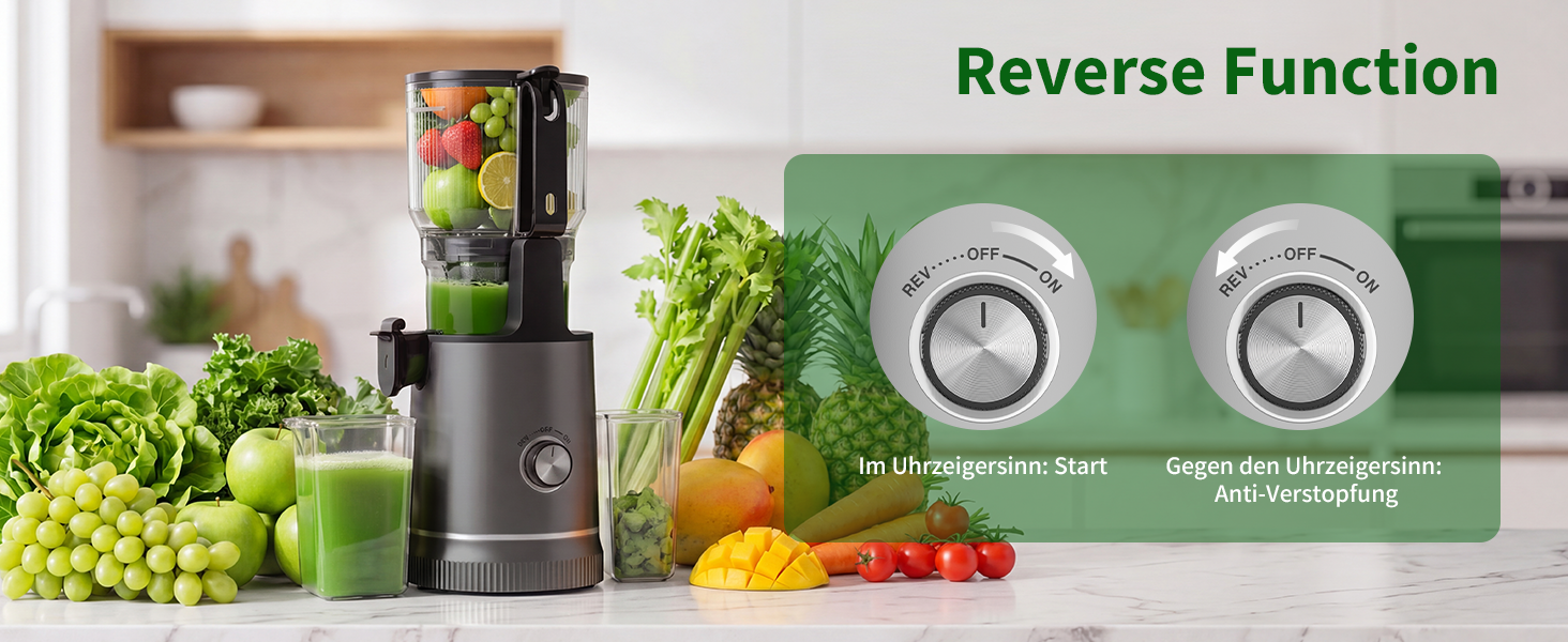 Шнекова соковижималка Entsafter Slow Juicer SJ-065, 400 Вт, XL-завантажувач 152 мм, Titanium Gray