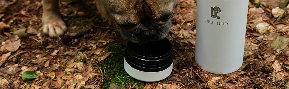 Термопляшка ThermoBott 700мл з нержавіючої сталі з мискою для собак