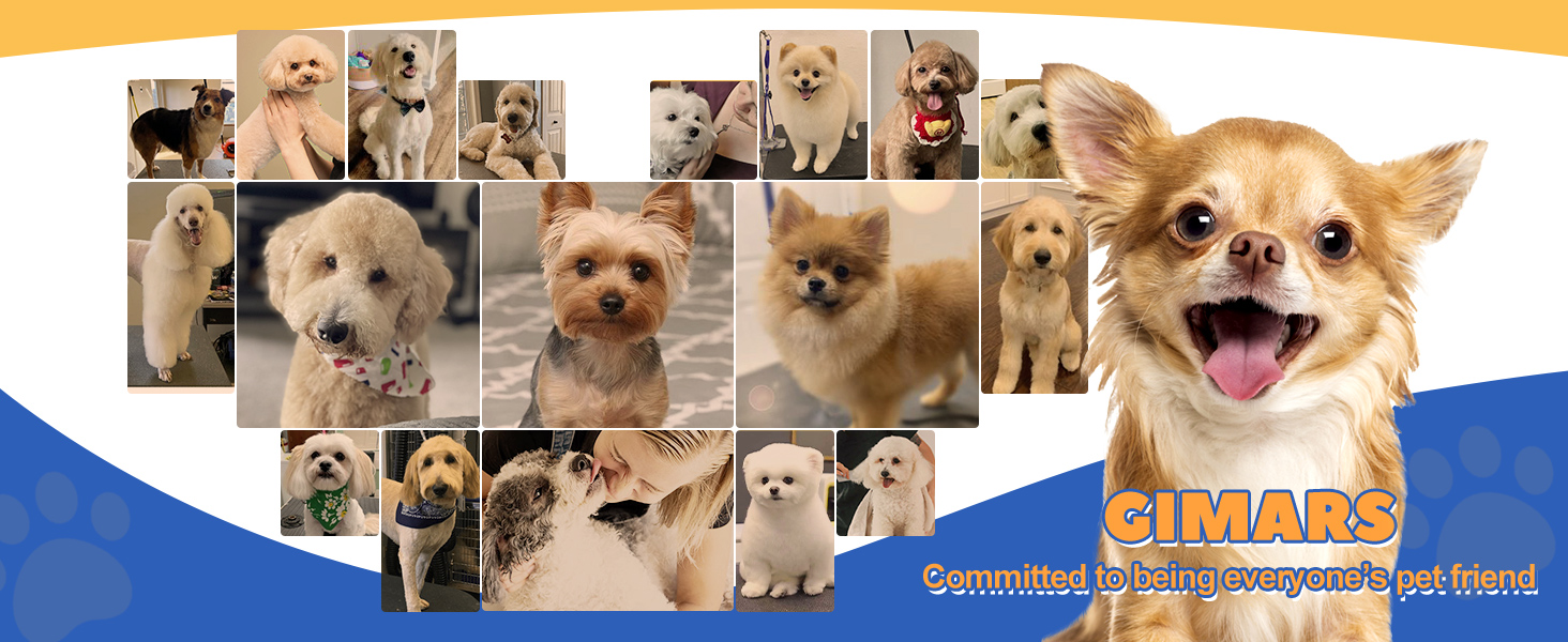 Професійна ножиця для грумінгу собак Gimars 5-в-1, рожева (4CR, титанове покриття, безпечна насадка)