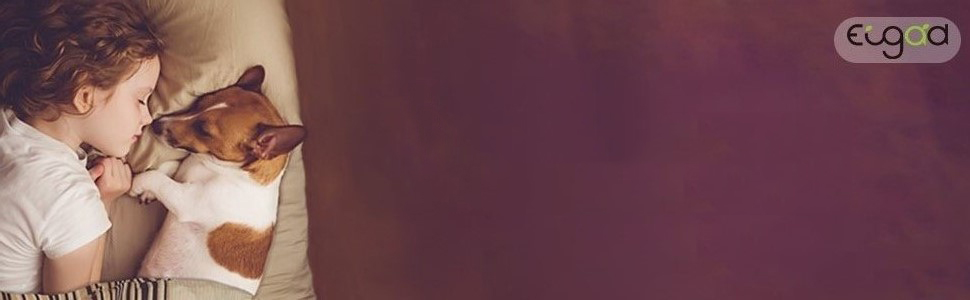 Транспортна переноска для собак EUGAD, алюміній, 80x65x65 см, сіра - переноска для собак, котів, авто, подорожі