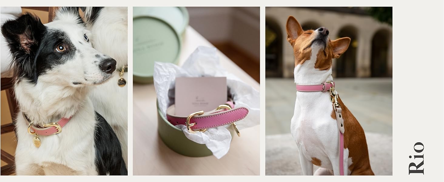 Нашийник для собак Nina Woof Milan з веганської шкіри, м'який, регульований, з крокодиловим тисненням, фіолетовий, розмір M, обхват шиї 38–48 см