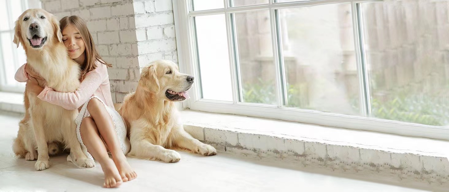 Професійна ножиця для грумінгу собак та котів, 6.5 дюймів, блакитна