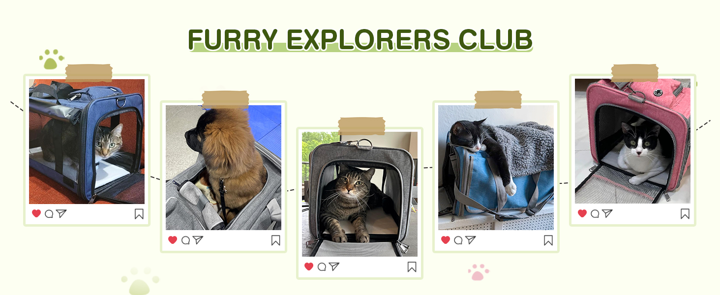 Транспортна сумка для котів та маленьких собак ALLSOPETS, до 9 кг, блакитна