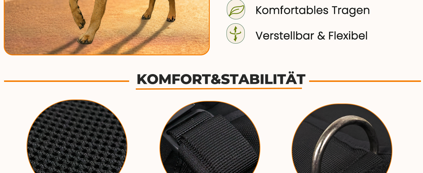 Нашийник для собак середніх та великих порід RoveVest Air: легкий, дихаючий, регульований, для прогулянок та активного відпочинку. Чорний, розмір M