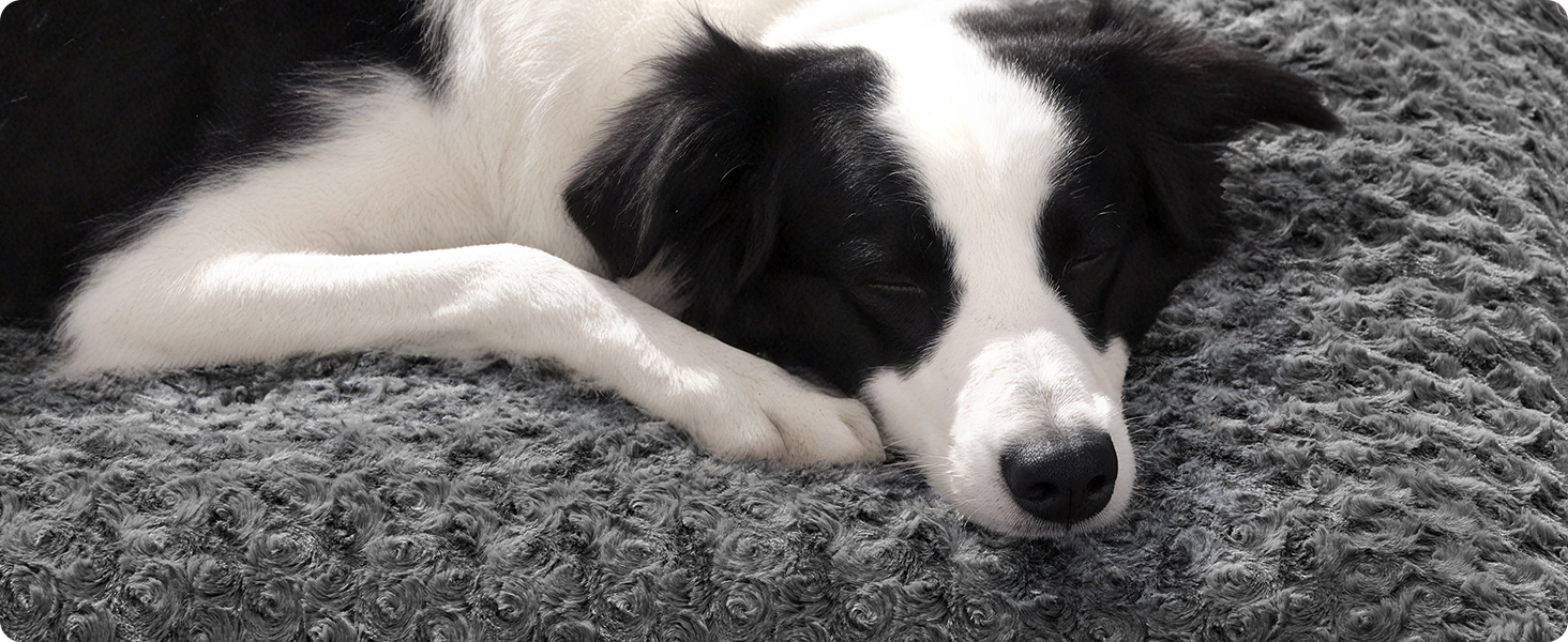 Ліжко для собак Feandrea XL, м'яке, плюшеве, 110 x 73 см, для великих собак, сірий колір, знімний чохол, антиковзаюча поверхня