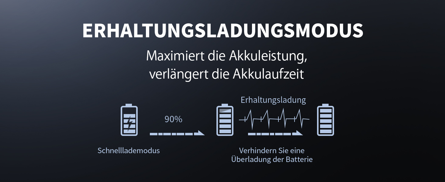 Зарядний пристрій EBL для акумуляторів AA AAA C D NI-MH, Type-C, LCD дисплей, швидка зарядка (зарядний пристрій + 4 x C)