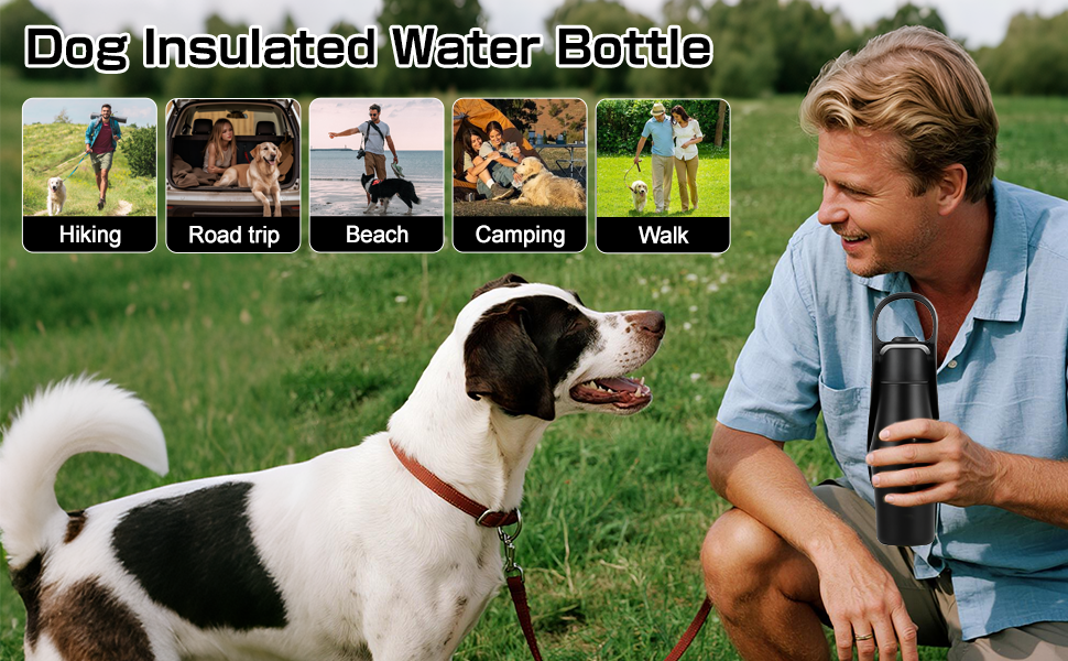 Водяна пляшка для собак на прогулянці - не протікає, з нержавіючої сталі, подвійні стінки, вакуумна ізоляція, 750 мл, чорна