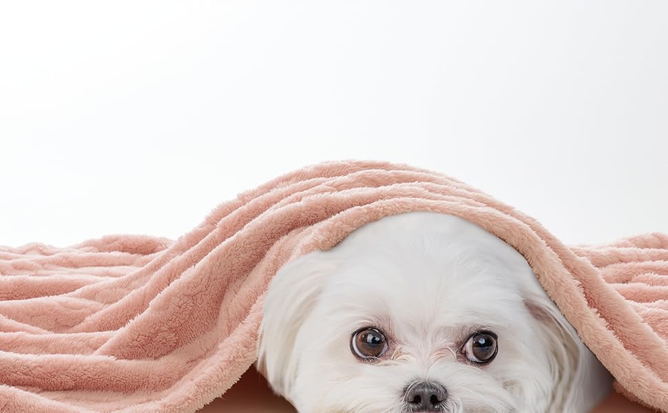 MIULEE Деки для собак 70x100 см, м'яка ковдра для тварин, флісова підстилка для собак, котів, кроликів, рожева, середній розмір (70*100 см)