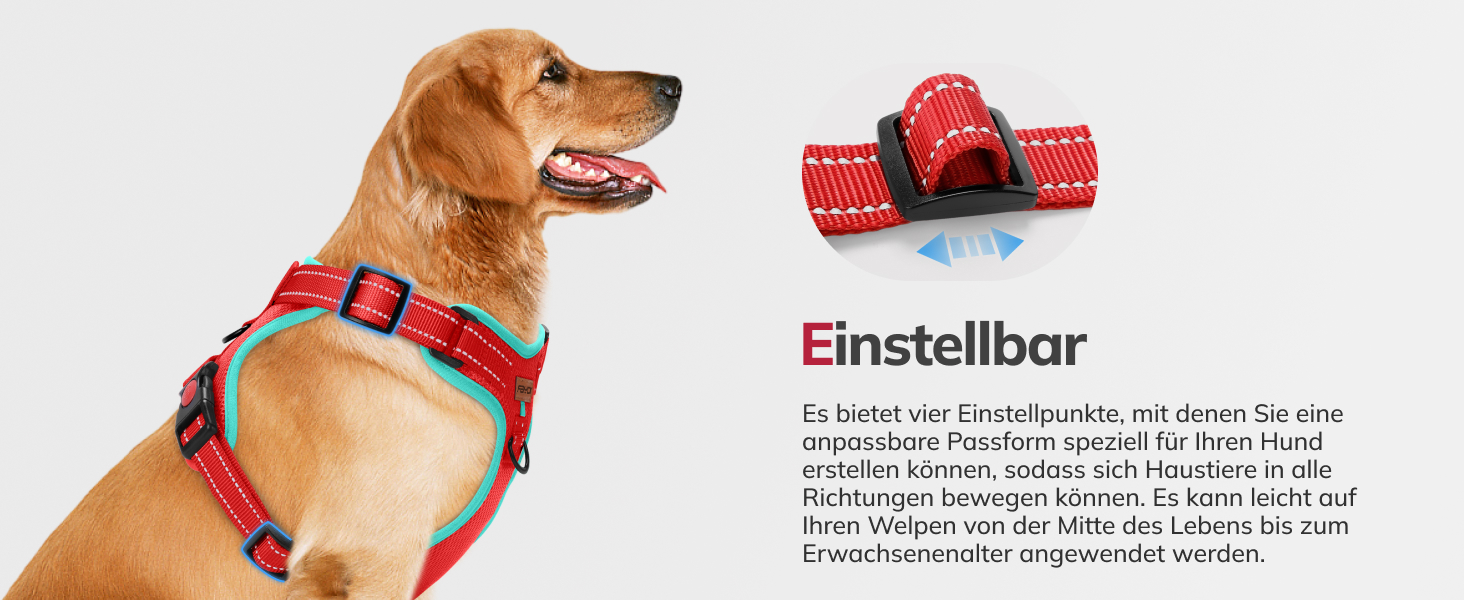 Шлейка для собак FAYOGOO, без чіпкості, з переднім кріпленням, світловідбиваюча, регульована, м'яка, з підкладкою, для малих, середніх та великих собак, для прогулянок (Блакитна, S)