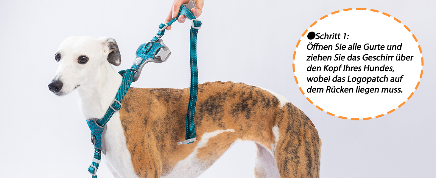 Шлейка Huntboo для собак: безпечна від виривання, антистресова, з відбиваючими елементами, регульована, легка (розмір S, блакитна)