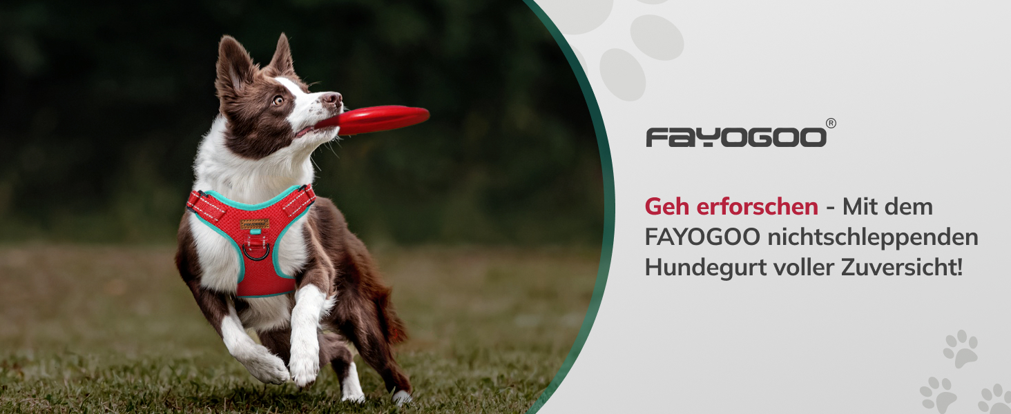 Шлейка для собак FAYOGOO, без чіпкості, з переднім кріпленням, світловідбиваюча, регульована, м'яка, з підкладкою, для малих, середніх та великих собак, для прогулянок (Блакитна, S)