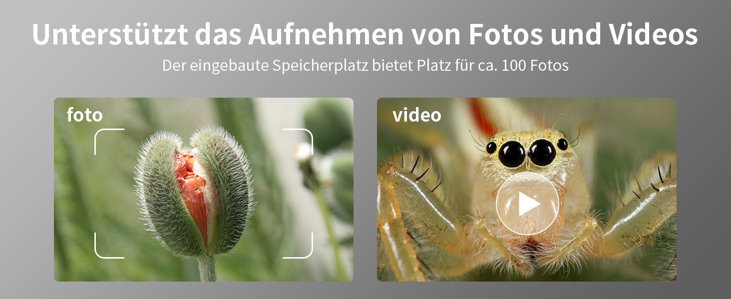 Цифровий мікроскоп Ashfly LCD 500x з дисплеєм 4.3 дюйма, 1080P, USB, 8 LED, сумісний з MacOS/Windows, для дітей та дорослих