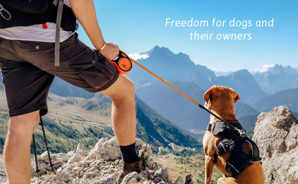 Flexi Comfort L рулетка для собак до 50 кг, 8 м, чорна