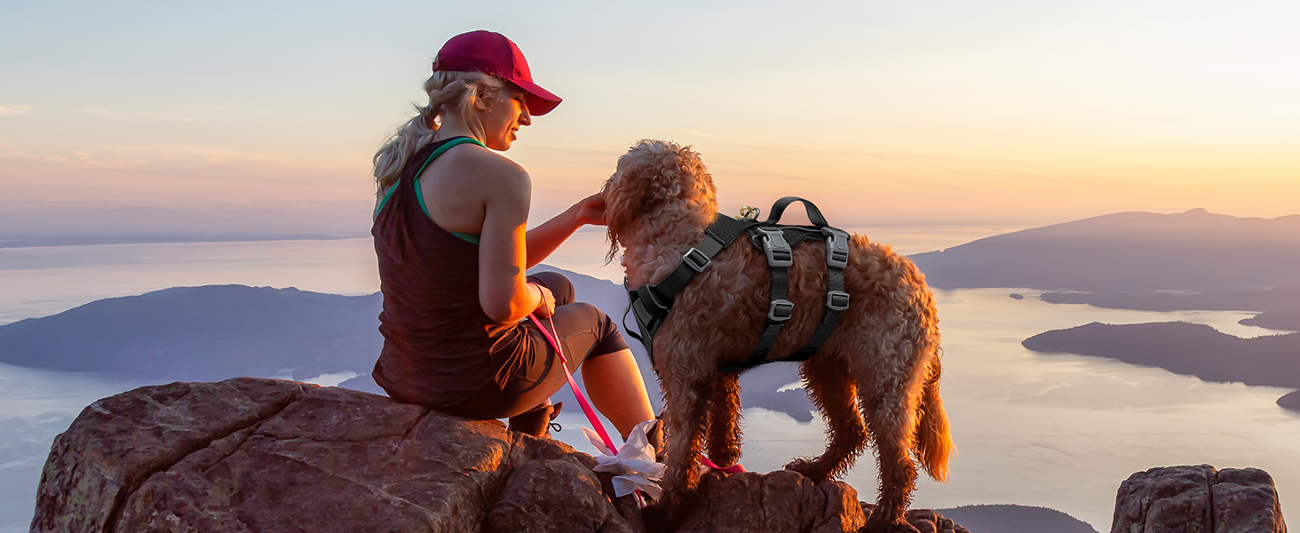 Шлейка для собак маленьких та середніх порід, легка та дихаюча, не тягне, з ручкою, світловідбиваюча, нейлон, з переднім кріпленням, для прогулянок та повсякденного використання, чорна, розмір S