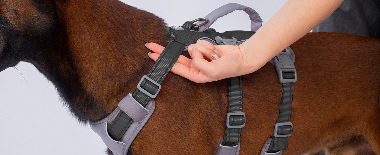 Шлейка для собак Huntboo безпечна від виривання, шлейка від паніки, світловідбиваюча шлейка з ручкою, регульована шлейка для собак маленьких, середніх та великих порід (M) Середня (1 шт.) (Extra груба (1 шт.), Чорна)