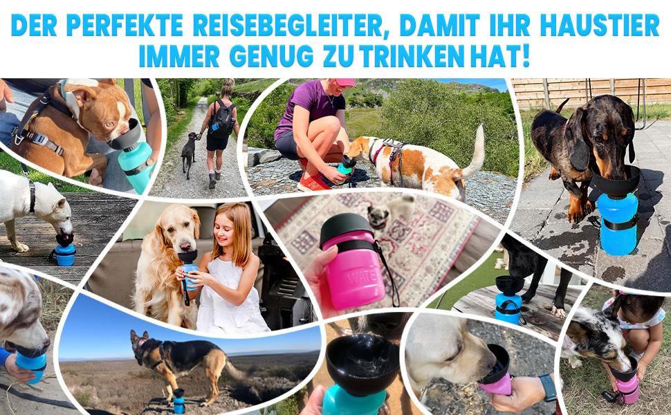 Складана пляшка для води для собак Lesotc, 520 мл, блакитна - для прогулянок, подорожей, кемпінгу