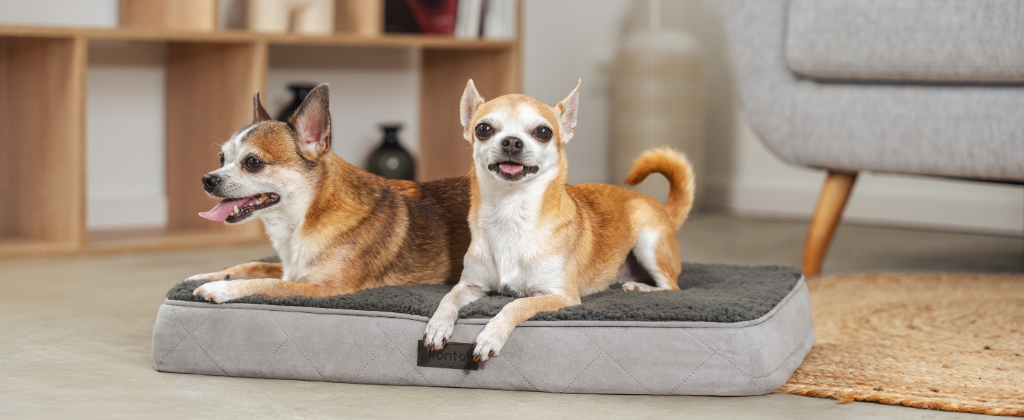Ортопедичне ліжко для собак Lionto, 60x40x8 см, з м'яким плюшем, знімний та пральний чохол, водовідштовхувальне, для собак та котів, сірого кольору