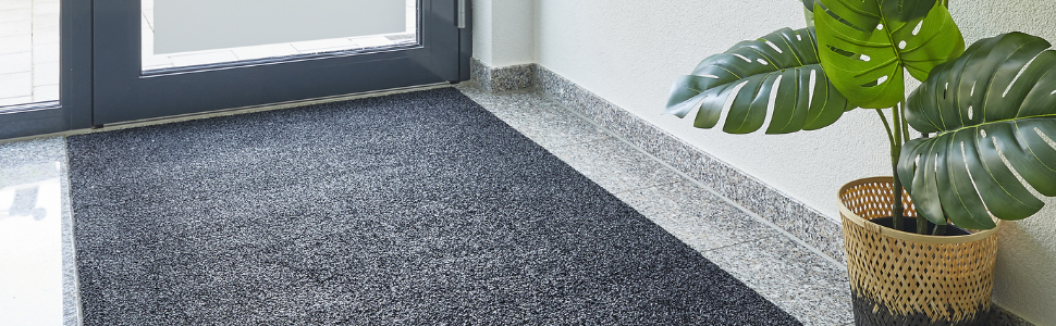 Килимок для дому Samson Sauberlaufmatte: миючий, антиковзкий, 40x60 см, бежевий (також 67x180 см, антрацит)