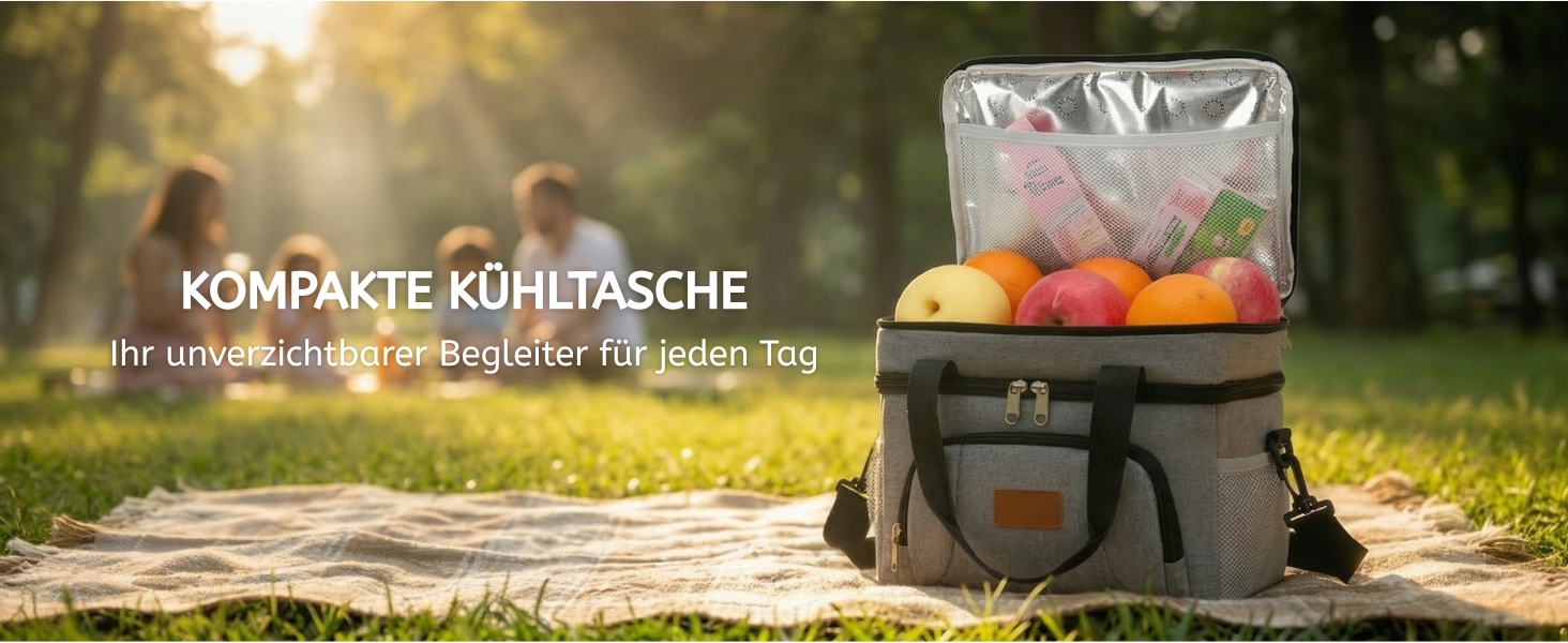 Термосумка JANSBEN для 12 банок: компактна, ізольована, з 6 відділеннями для пікніка, роботи та авто (сіра)