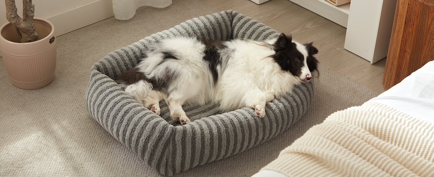 Лежанка для собак середнього розміру, сіра, 64x54x18 см, знімний, зручний, з підвищеними бортиками, з антиковзким покриттям