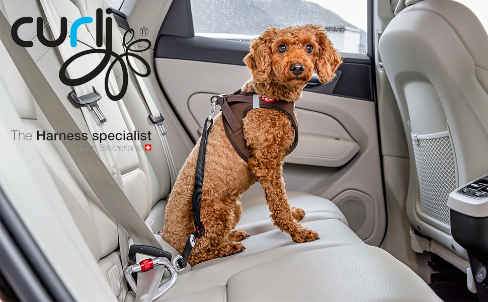 Large Car Safety Belt V2 L - Enhanced Vehicle Safety Restraint