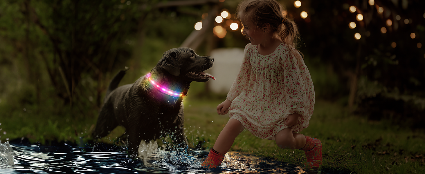 Світлодіодне нашийник для собак Feycig - USB, водонепроникний, 3 режими, регульований, для малих, середніх та великих собак (Рожевий, L(48-60см))