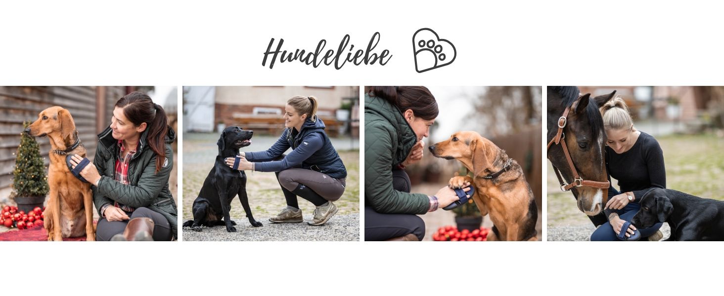 Штрикач для собак Kurzhaar Animalon: допомога при линянні | Штрикач для короткошерстих собак | Інноваційна щітка для дбайливого догляду за шерстю (маленький, синій) Синій, маленький