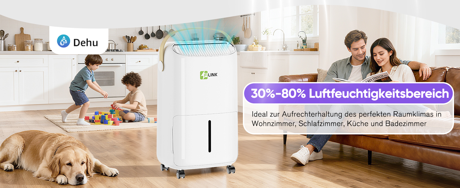 Електричний осушувач повітря 9л/24г, тихий, з дитячим блокуванням, захистом від переливу та автоматичним перезапуском. Підходить для спальні, ванної кімнати, підвалу та пральні. Осушувач повітря 16л/день.