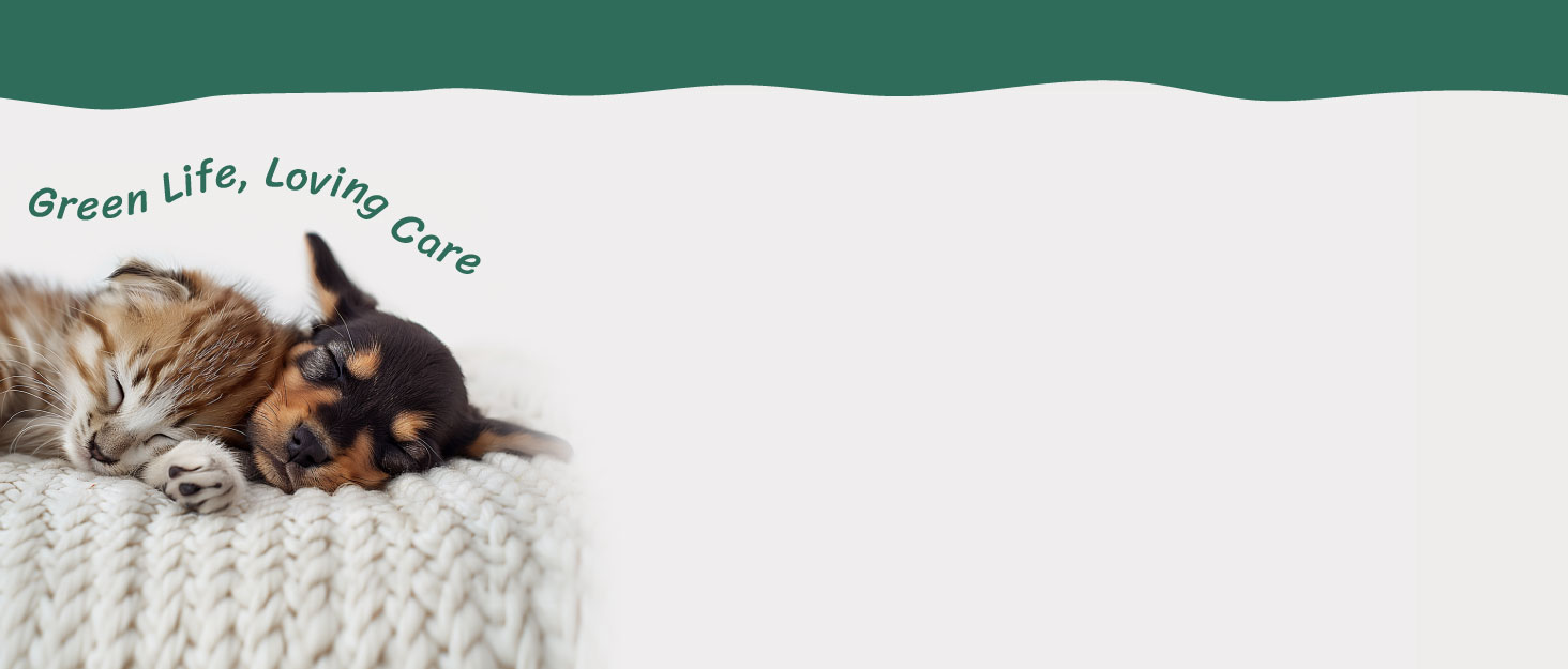 Кліматизатор для котів Гарднер Пет Катценбаум, великий, 165 см. Кліматизатор, ігровий комплекс з подвійними кошиками, стійками для дряпання, платформою та печерею. Компактні меблі для котів у квартиру, бежевий L (59 x 48 x 165 см)