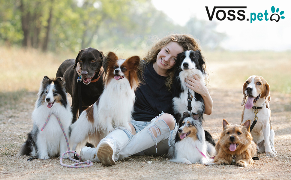 Сходинка для собак VOSS.PET, 3 сходинки, алюміній, захисна гумова підкладка
