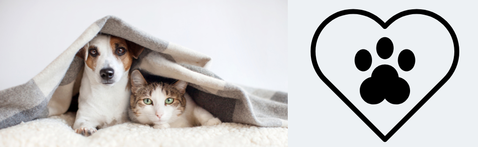 Миска для собак BELMIN з підняттям – миска для води та корму для собак – піднята миска для корму для великих собак і котів – 2 регульовані висоти – миска для собак з кераміки з бамбуковим підставкою – неслизький килимок