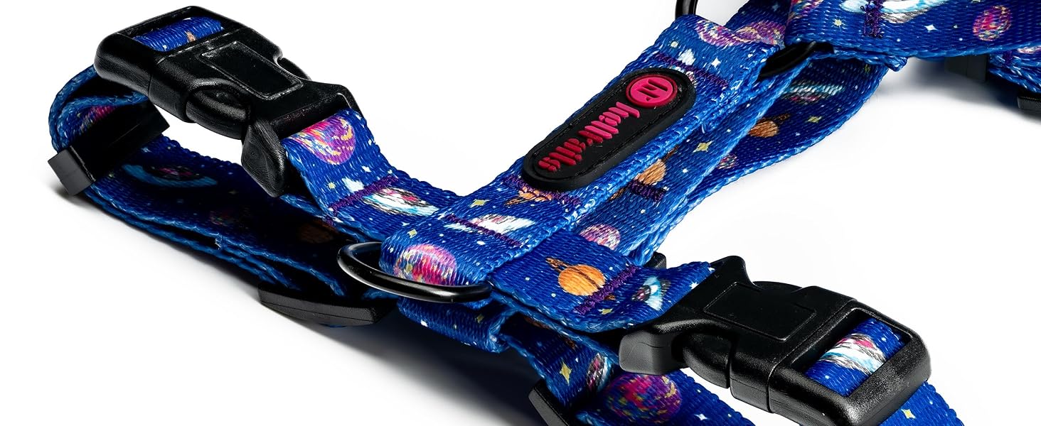 Шлейка для собак середніх порід | Не вбирає вологу | Регульована | З контролем | Легка класична шлейка для собак | Dog Harness - M (Cosmic Bloom, S - виміряйте собаку)