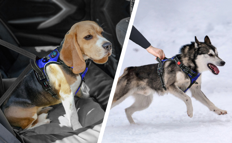 Шлейка для собак PHOEPET без тяги, світловідбиваюча, регульована, з ручкою, 2 кільця, 3 застібки (Королівський синій, Medium)