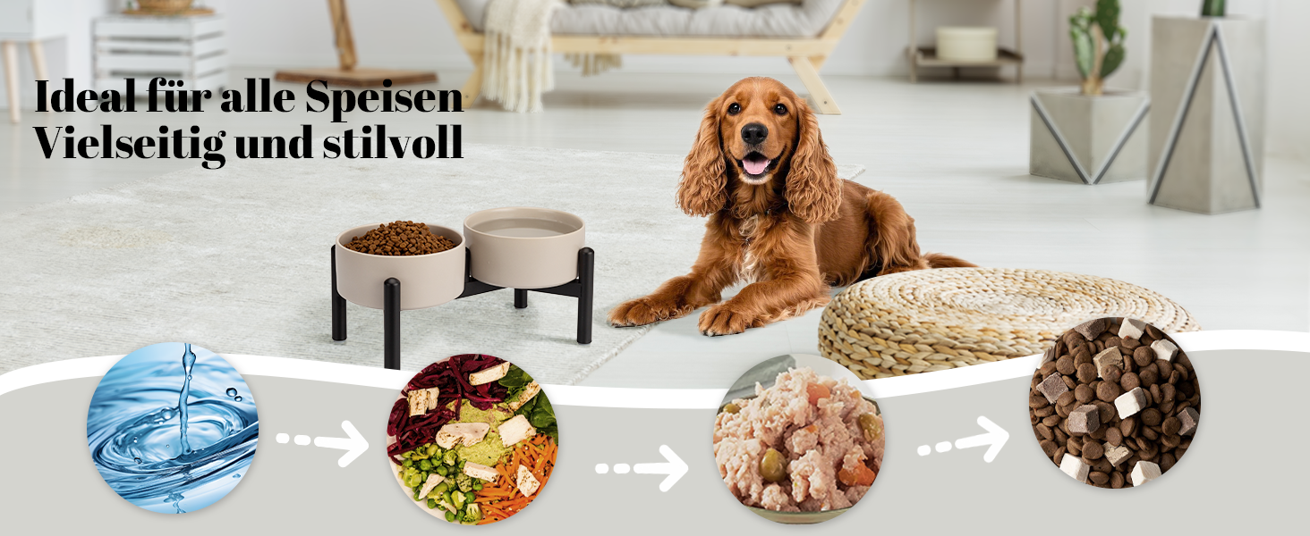 Elevated Dog Bowls Set - Ceramic Double Food Bowls with Stainless Steel Stand - Ideal for Small & Medium Dogs - 850ml x 2 - Black & Grey
