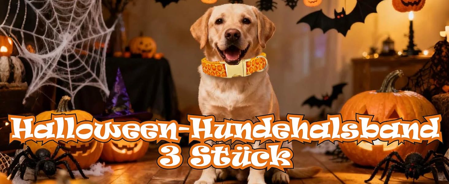 Нашийник для собак з металевою застібкою, двосторонній нашийник з іменем та номером телефону, регульовані розміри для маленьких собак, M та L (на Хелловін)