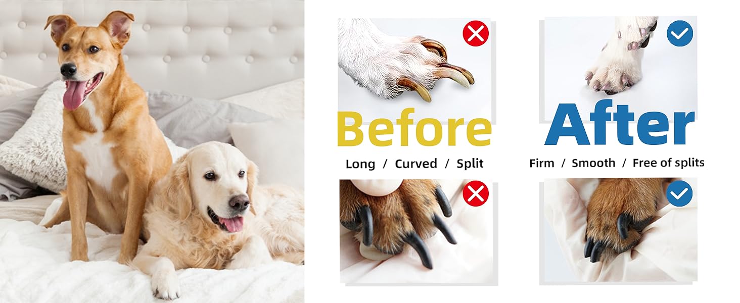 Електричний точилка для кігтів собак Casfuy - 6 режимів, 45 дБ, з LED-підсвіткою, для великих, середніх та малих порід, з захистом від пилу (білий/блакитний)