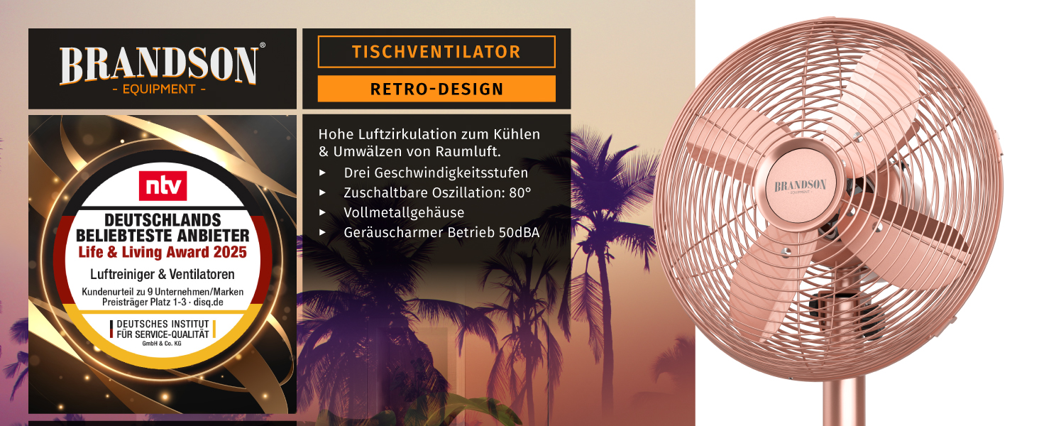 Настільний вентилятор Brandson з мідним дизайном: 3 швидкості, осциляція 80°, нахил 40°, металевий корпус (E: Рожевий)
