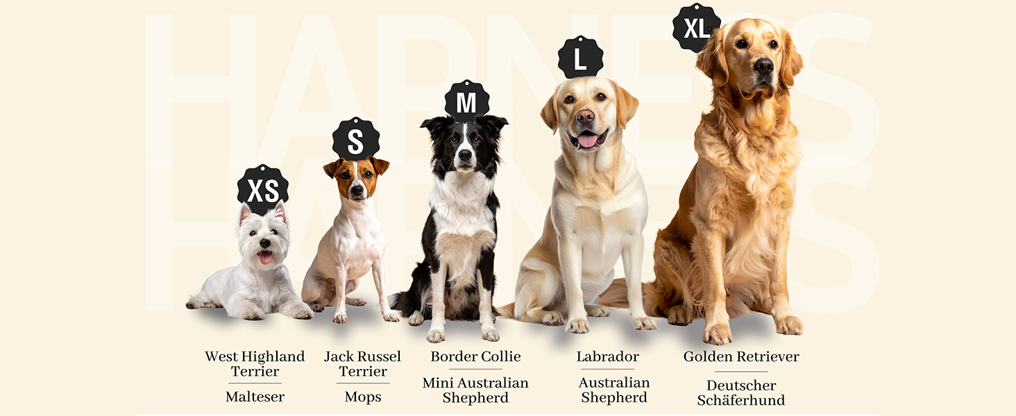 Шлейка для собак Freudentier з ручкою, дихаюча, з м'якою підкладкою - надійна фіксація та максимальна безпека, протисмикова, для собак маленьких, середніх та великих порід - шлейка для великих собак (XL)