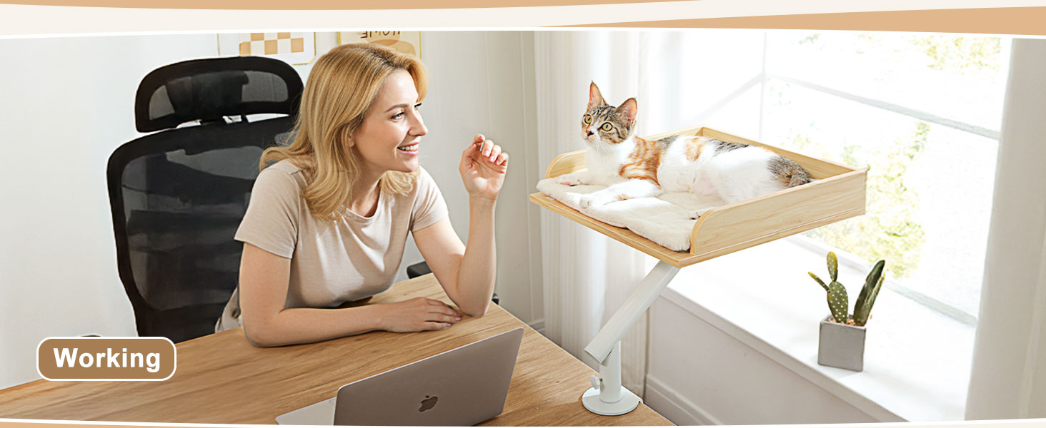 Кішка ліжко PAWZ Road для столу з інтерактивним плюшевим м'ячем, кошик для котів, 360° обертається, гамак для котів, ліжко для котів, підходить до 22.5 кг (Бежевий, прямокутний, дерев'яний)