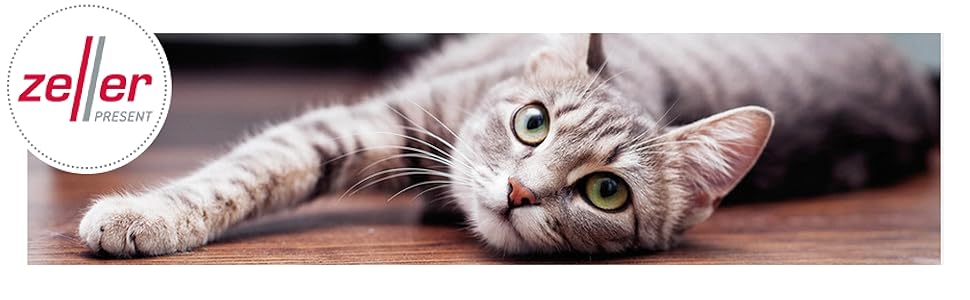 Кормниця для собак Zeller 19218 'Woof', метал, білий/блакитний, 23,4 x 16,2 x 23,2/25,8 см