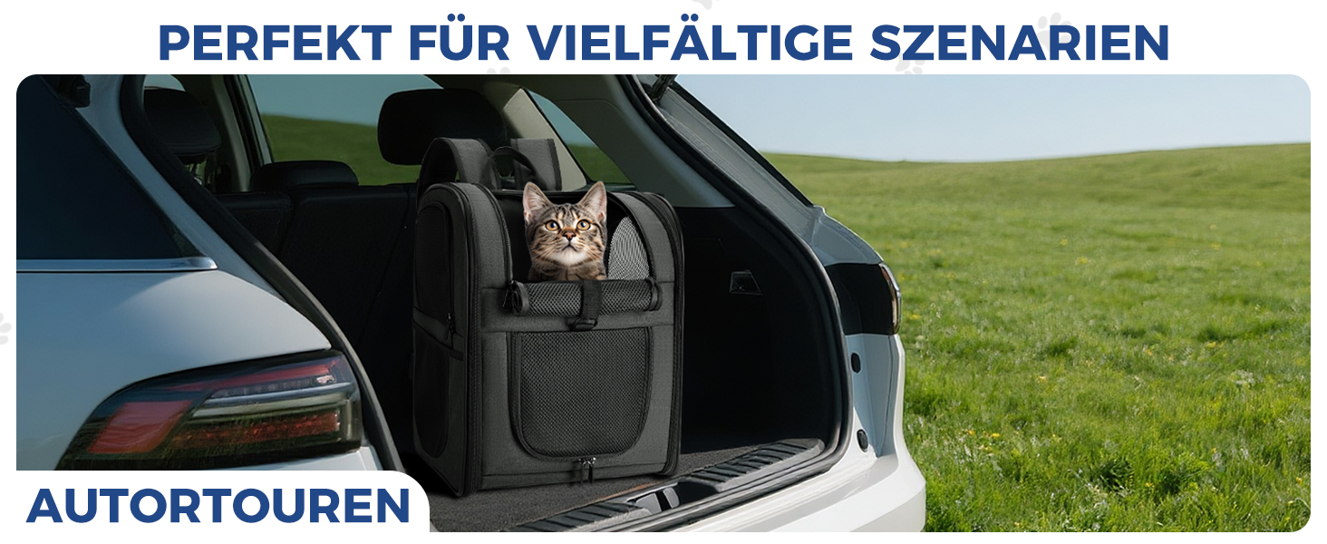 Рюкзак для собак та котів Apollo Walker - зручний та дихаючий, для малих тварин (2-15 кг), чорний