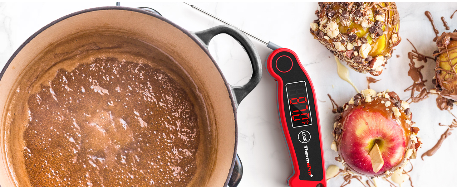 Термометр для м'яса ThermoPro TP19 IP65 вологостійкий ±0.5℃, LCD, для приготування BBQ, вина, жарки