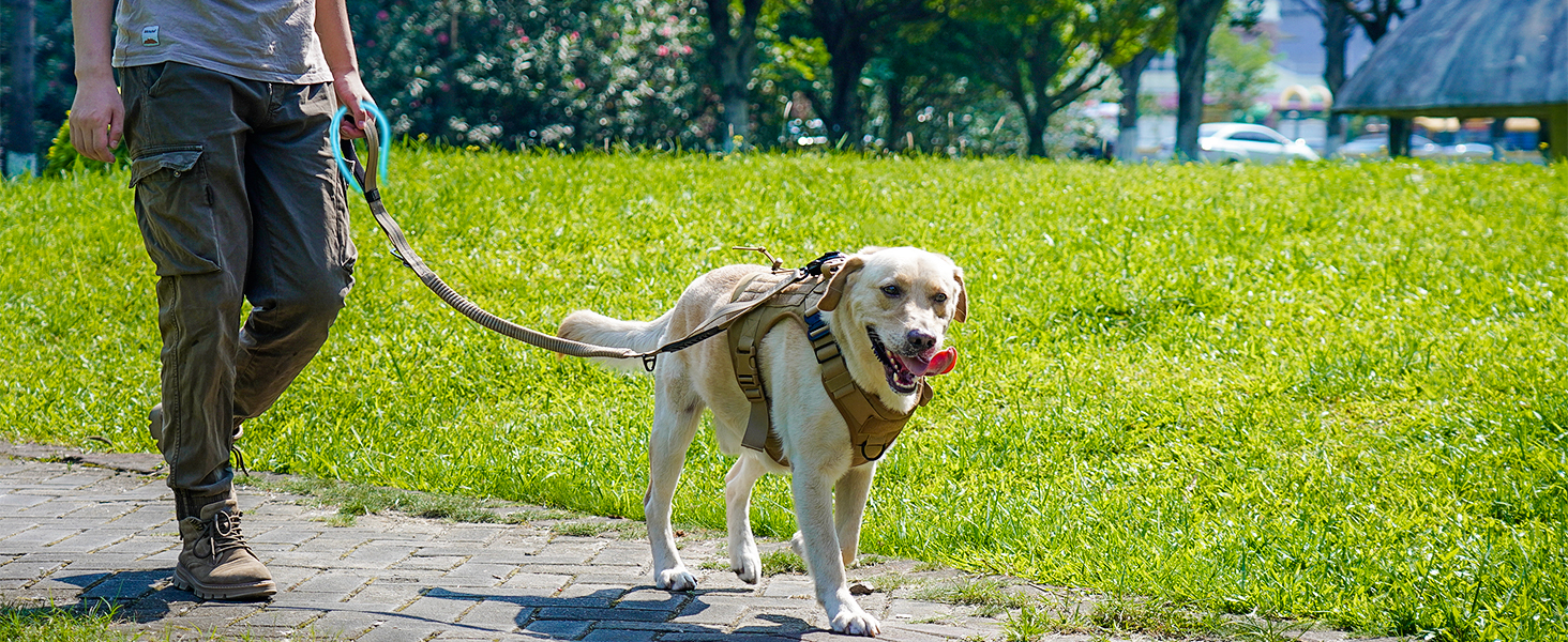Тактична собача повід Joytale, 1.2м-1.8м, еластична, з двома зручними ручками, автофіксатор, повід без ривка для великих собак, сірий